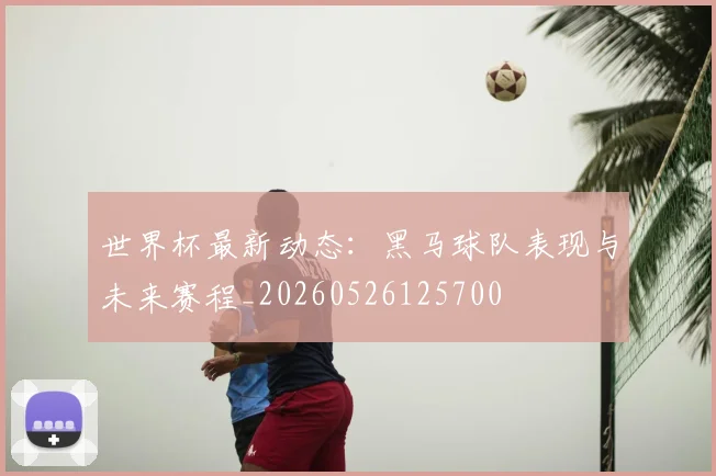 世界杯最新动态：黑马球队表现与未来赛程_20260526125700