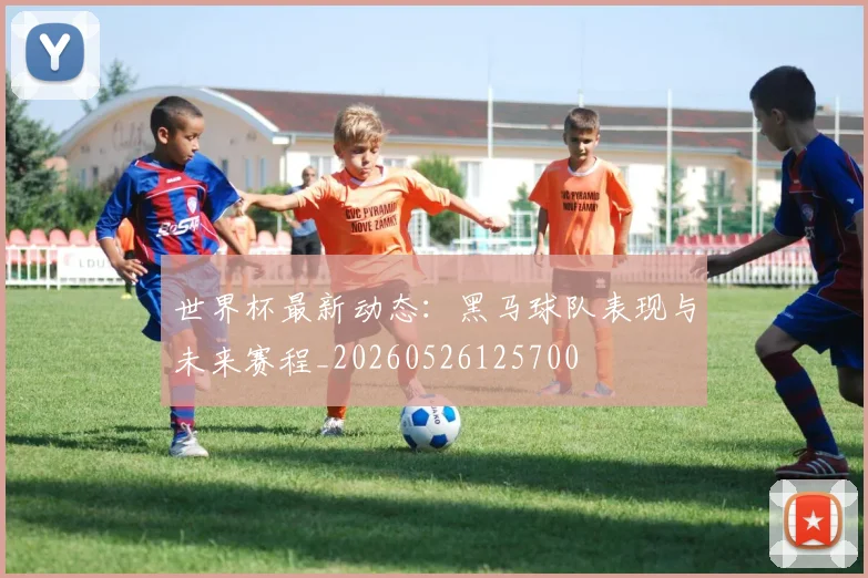 世界杯最新动态:黑马球队表现与未来赛程_20260526125700